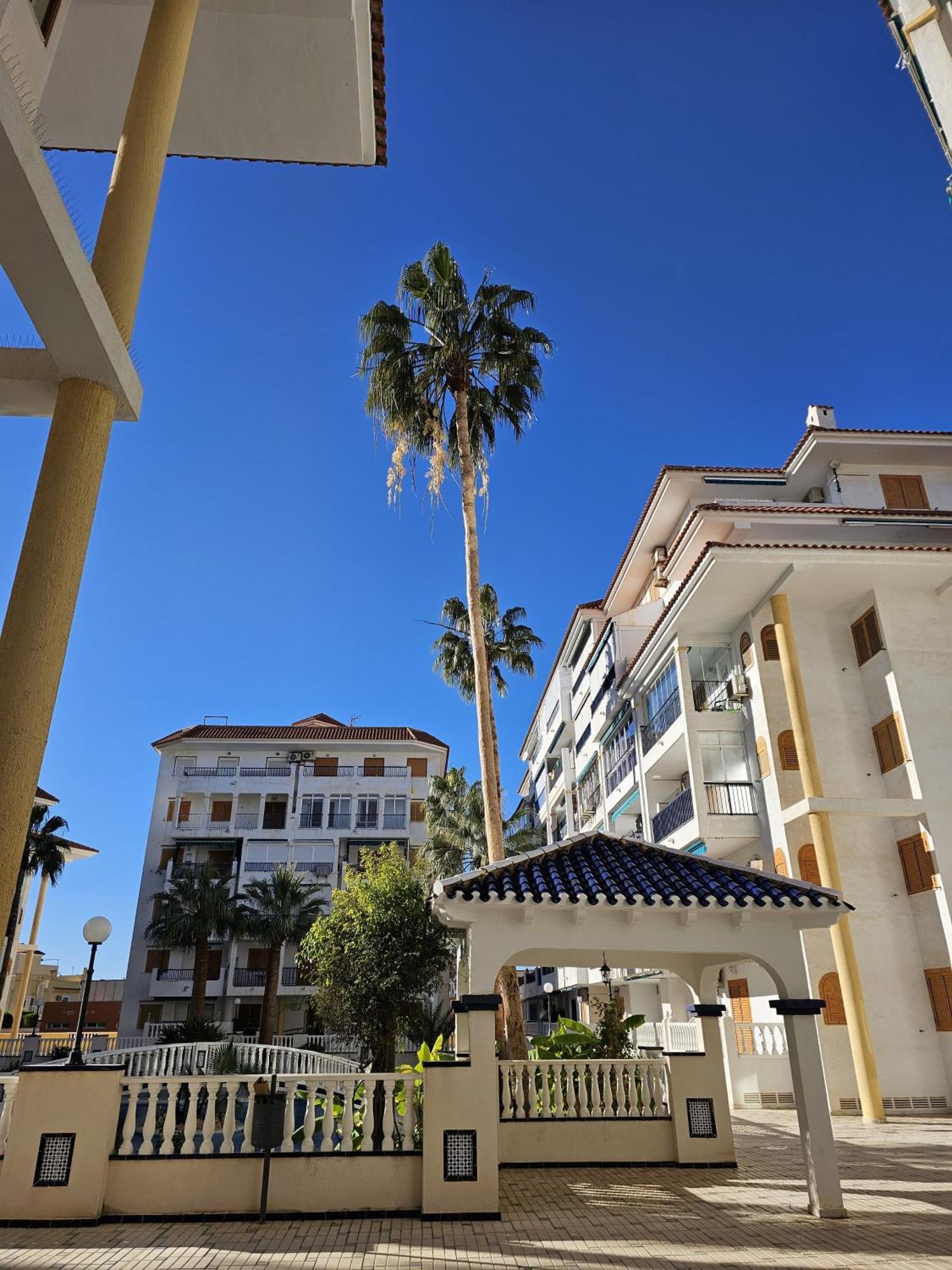 At Costa Blanca - Cozy Apartment With Pool La Mata  Εξωτερικό φωτογραφία